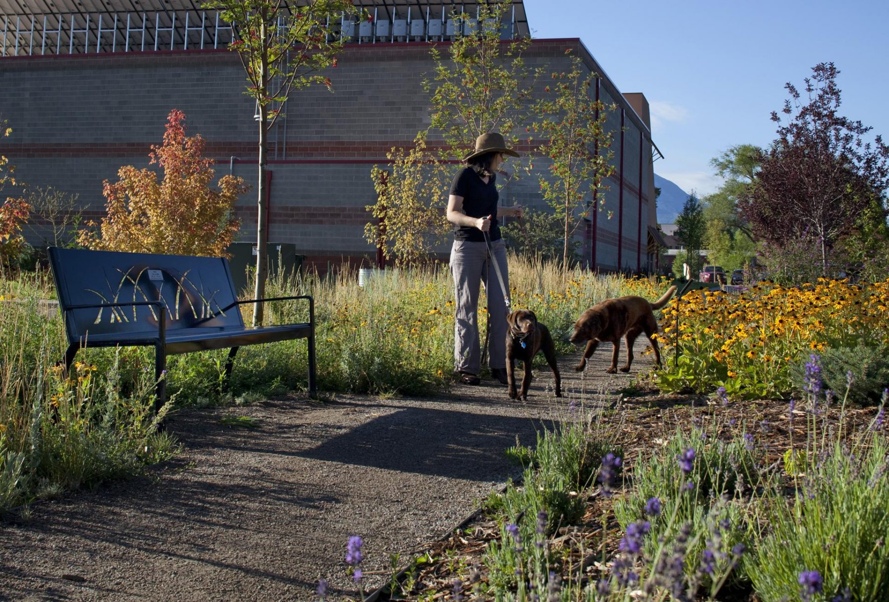 Carbondale Recreation Center DHM Design