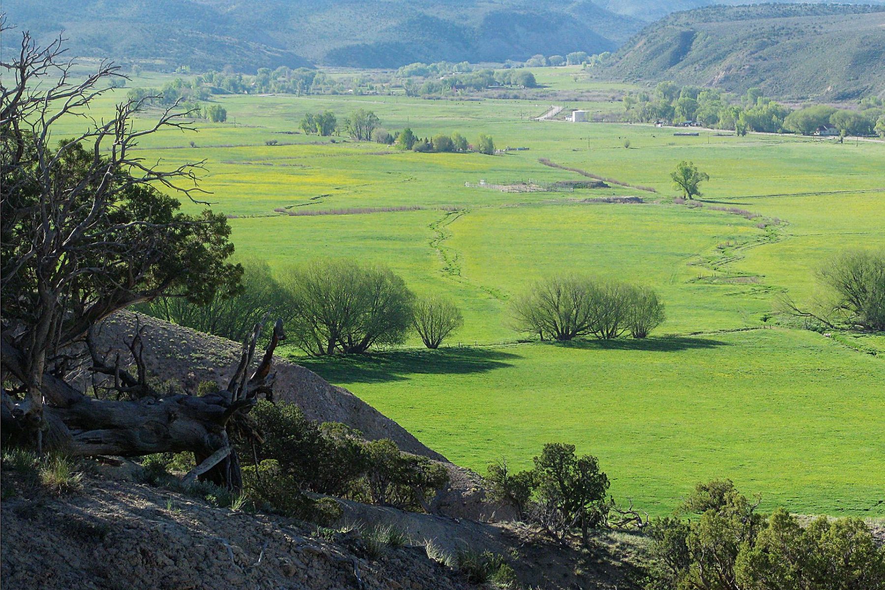 Haymeadow Landscape Architecture
