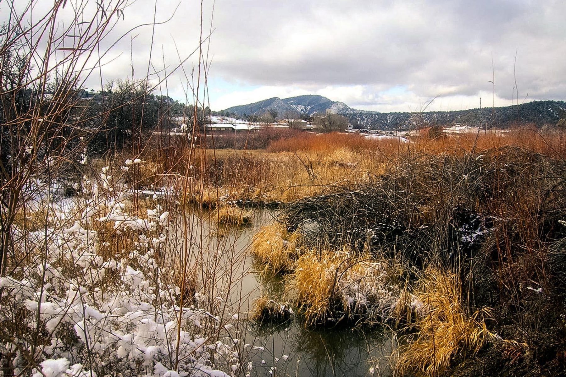 Three Springs Stormwater Wetlands Landscape Architecture Construction Documents