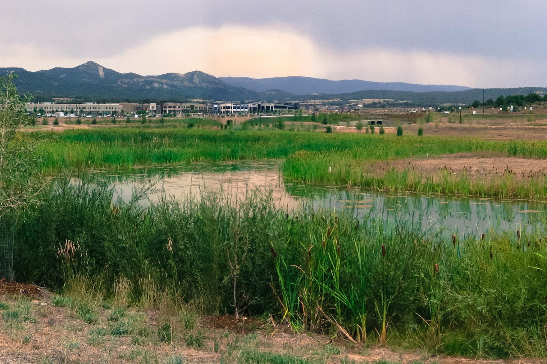 Three Springs Stormwater Wetlands Landscape Architecture Construction Documents