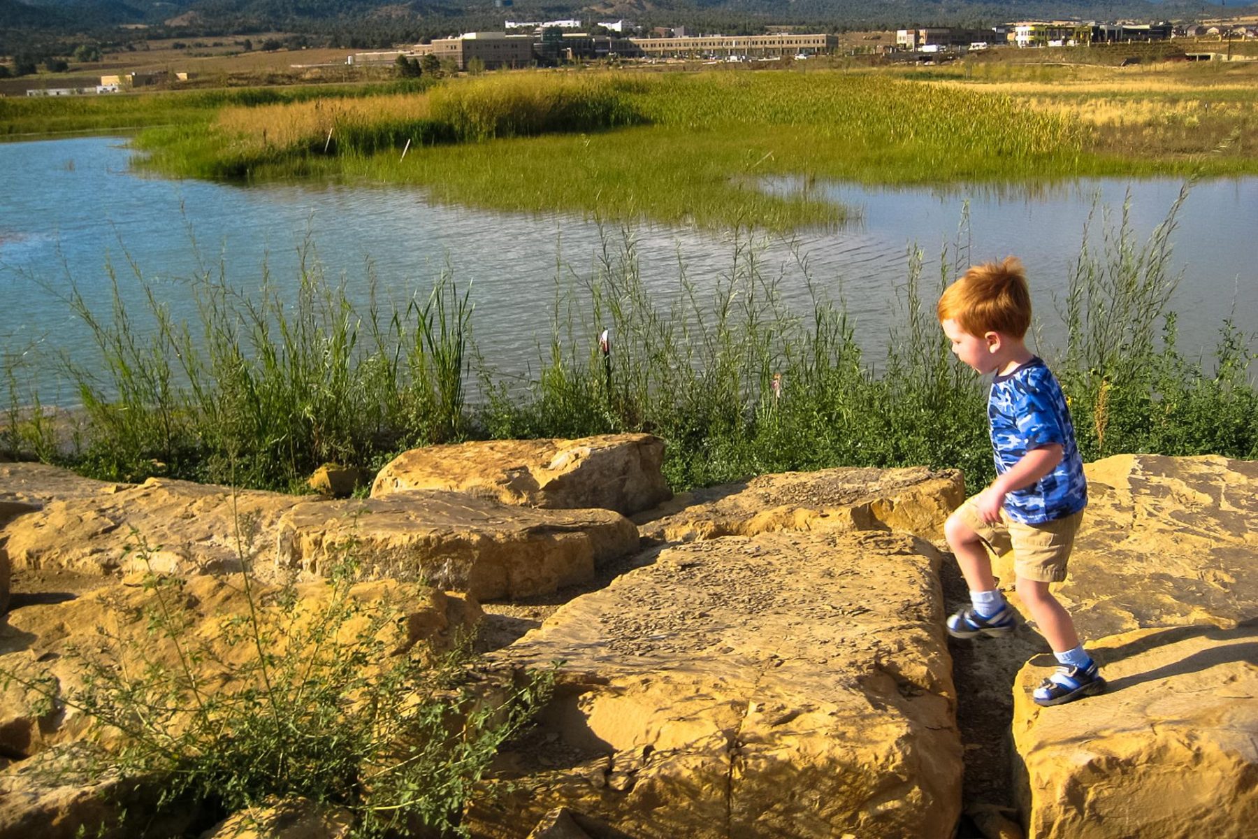 Three Springs Stormwater Wetlands Landscape Architecture Construction Documents