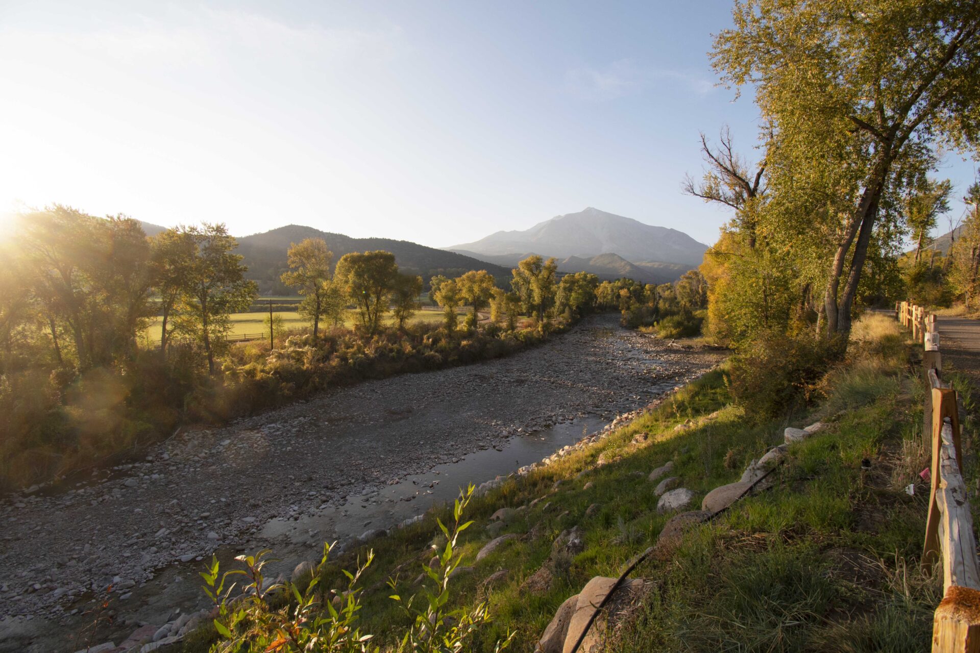 Bank Stabilization vegetation establishment